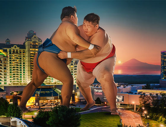 All Star Sumo