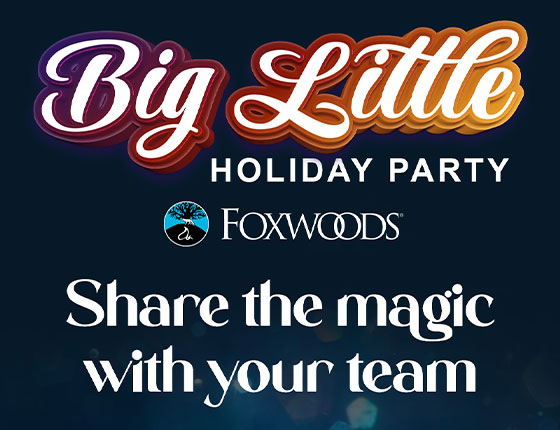 Big Little Party