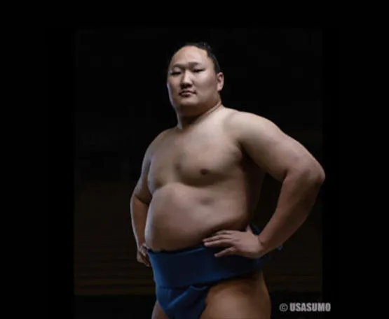 SUMO 公式アカウント03　重量6.94kgLOOK555 All Star Sumo | Foxwoods